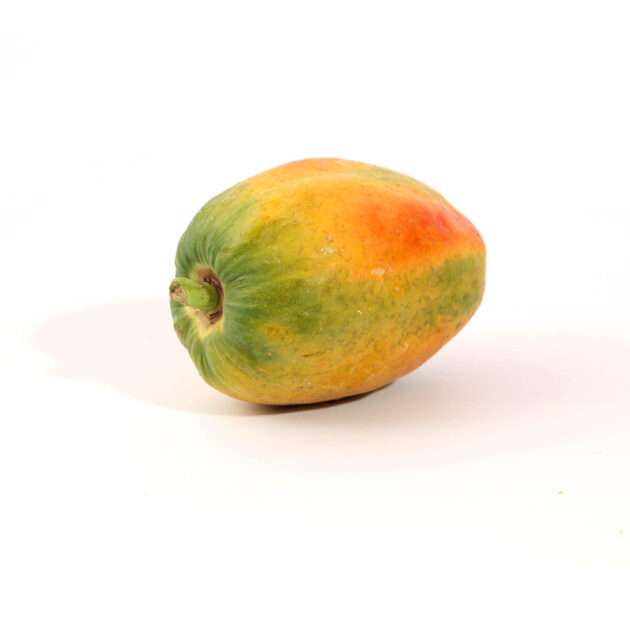 Papaya