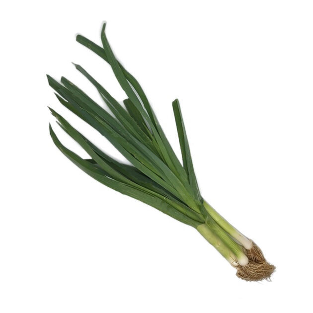 Spring Onions Image
