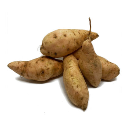 Yellow sweet potato Image